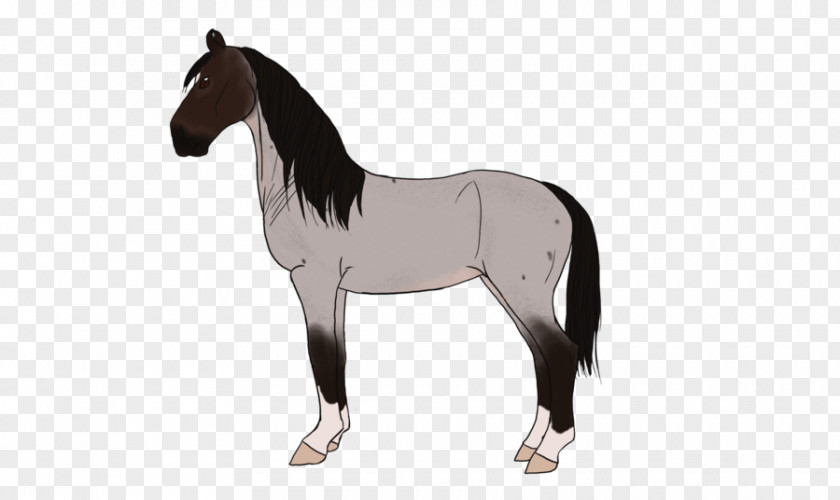 Mustang Mane Stallion Foal Pony PNG