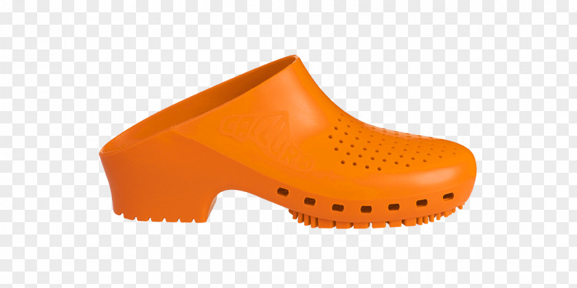 Swarovsky Clog Swim Briefs Shoe Crocs Blue PNG