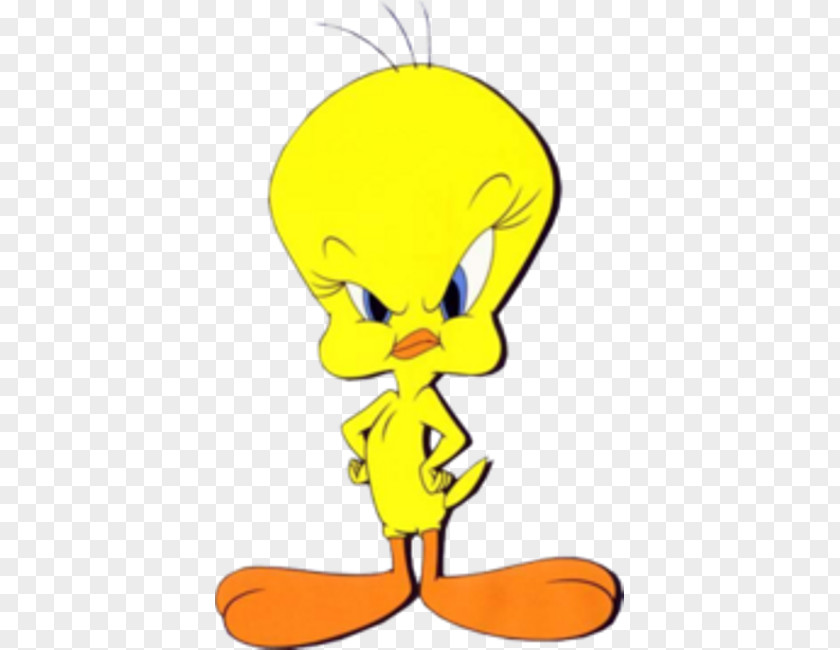 Tweety Sylvester Drawing Looney Tunes PNG