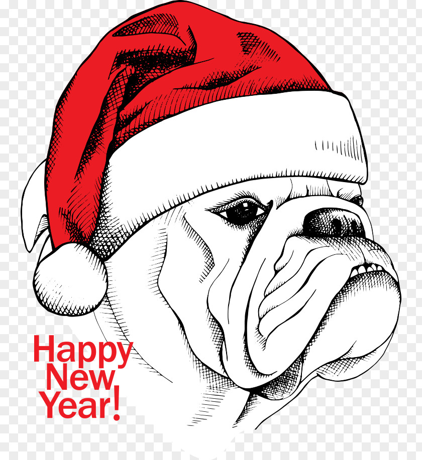 Vector Christmas Dog White English Bulldog Cartoon Illustration PNG
