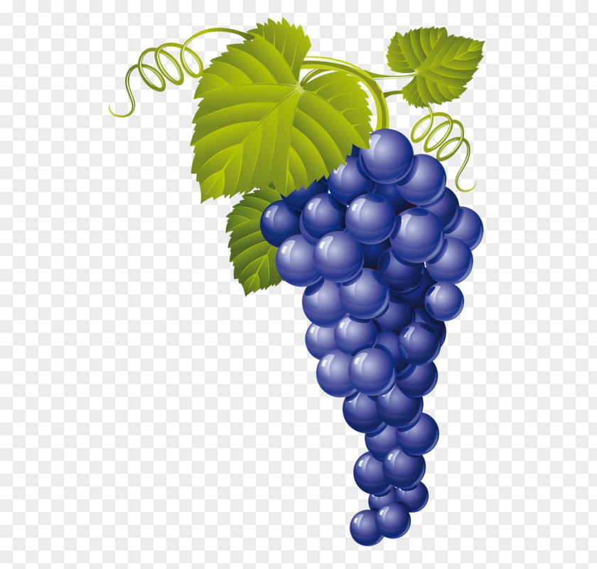 A Bunch Of Grapes Muscat Wine Juice Grape PNG