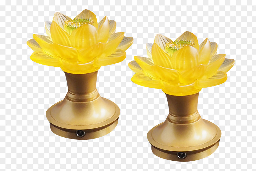 Coloured Lotus Lamp Lantern PNG