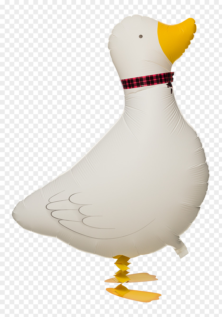 Duck Domestic Goose Toy Balloon Gas PNG