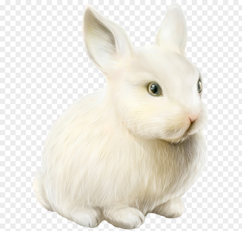 Easter Domestic Rabbit Bunny Clip Art PNG