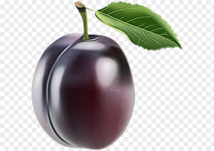 Eggplant Cherry Tree PNG