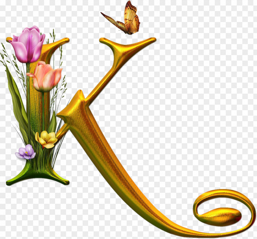 Letter K Monogram Butterfly Alphabet Lettering PNG