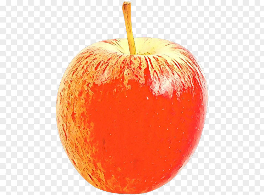 Peach Malus Orange PNG