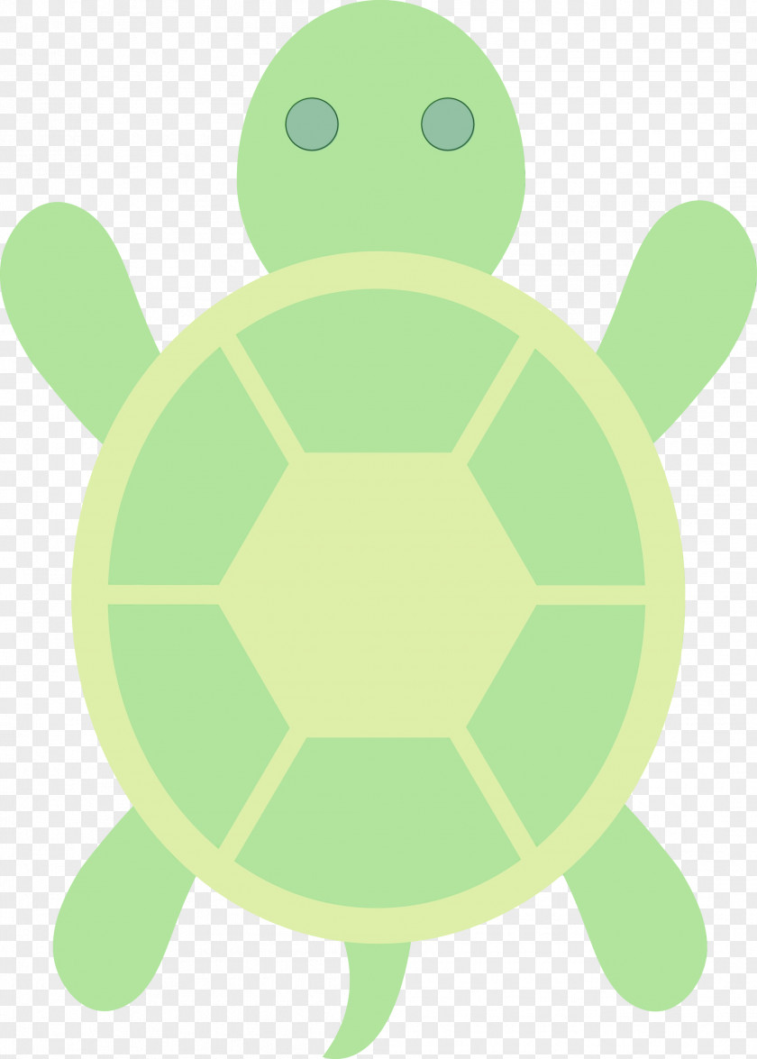 Tortoise M Sea Turtle Clip Art PNG