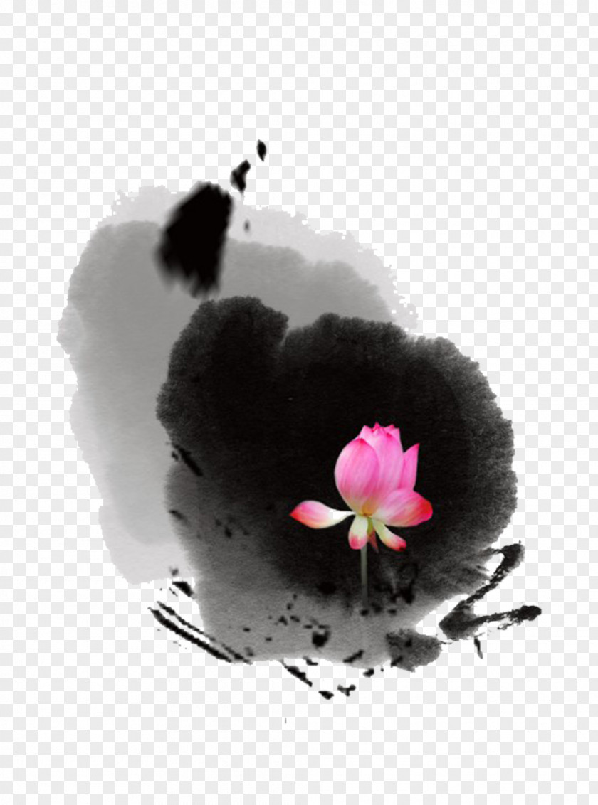 In Ink Lotus Picture Material China Paper Brush Poster PNG