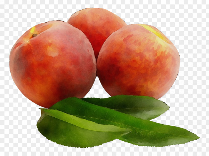 Nectarine Superfood Peach European Plum Fruit Food Plant PNG