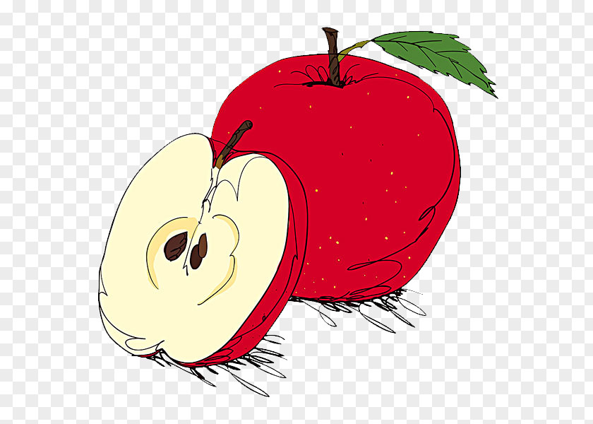 Red Apple Illustration PNG