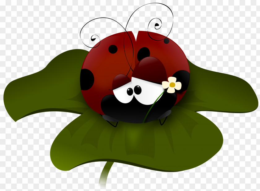 Bug Ladybird Insect Clip Art PNG