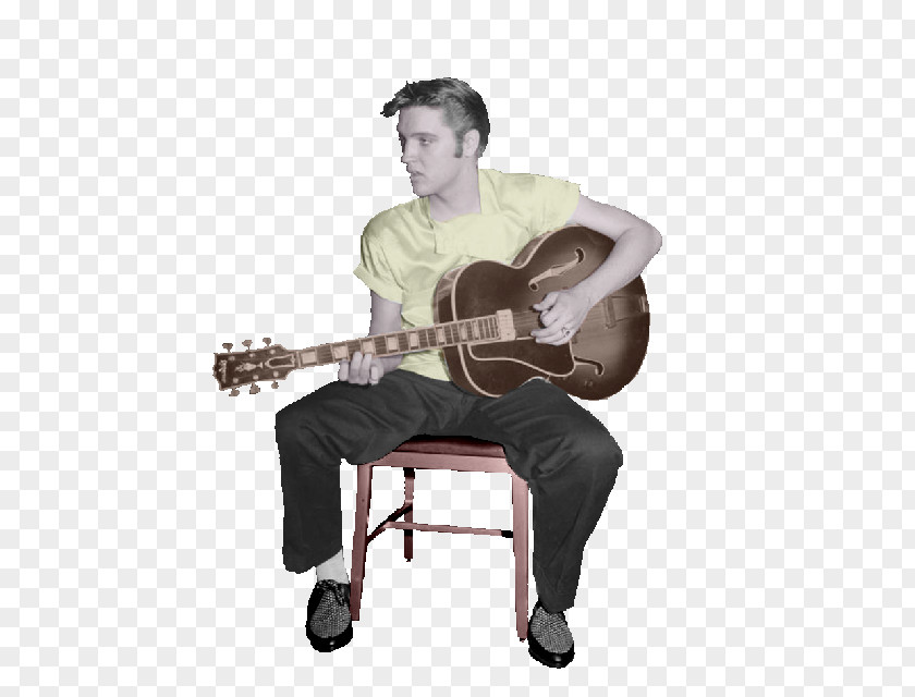 Elvis Presley Acoustic Guitar Cuatro Microphone PNG