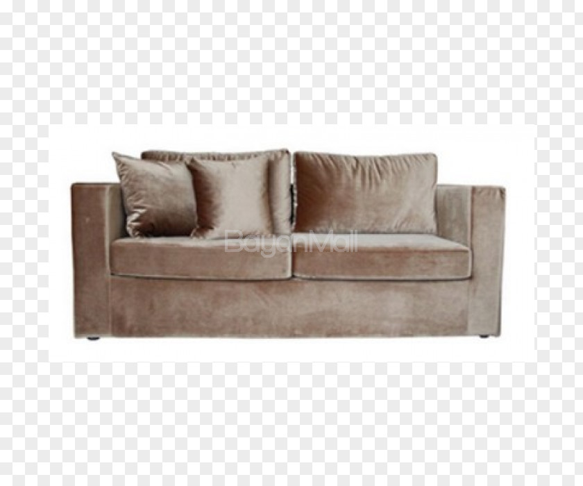 Lechon Couch Home Appliance Sofa Bed Shopping PNG