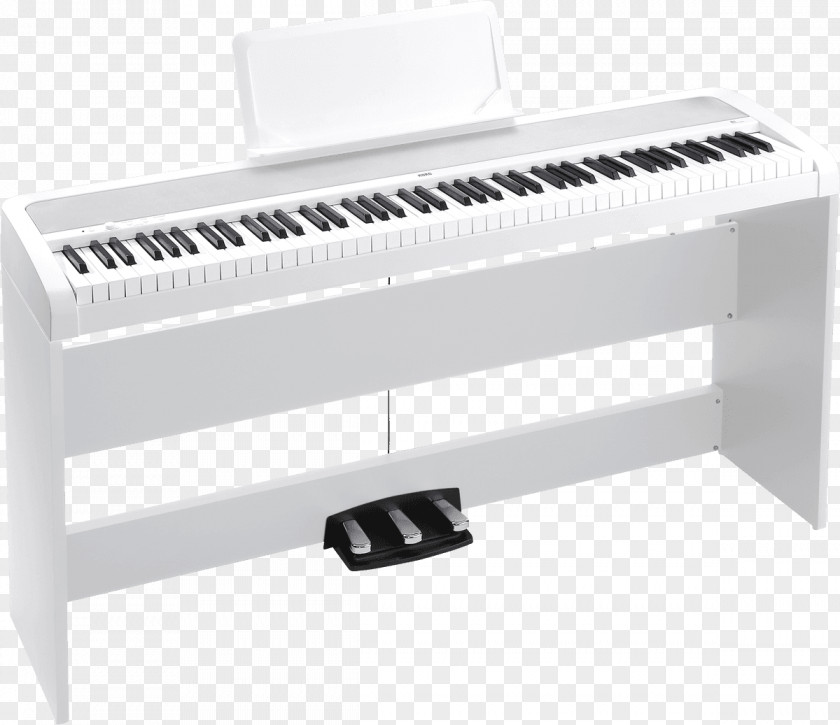 Piano Digital Korg Electronic Keyboard Stage PNG