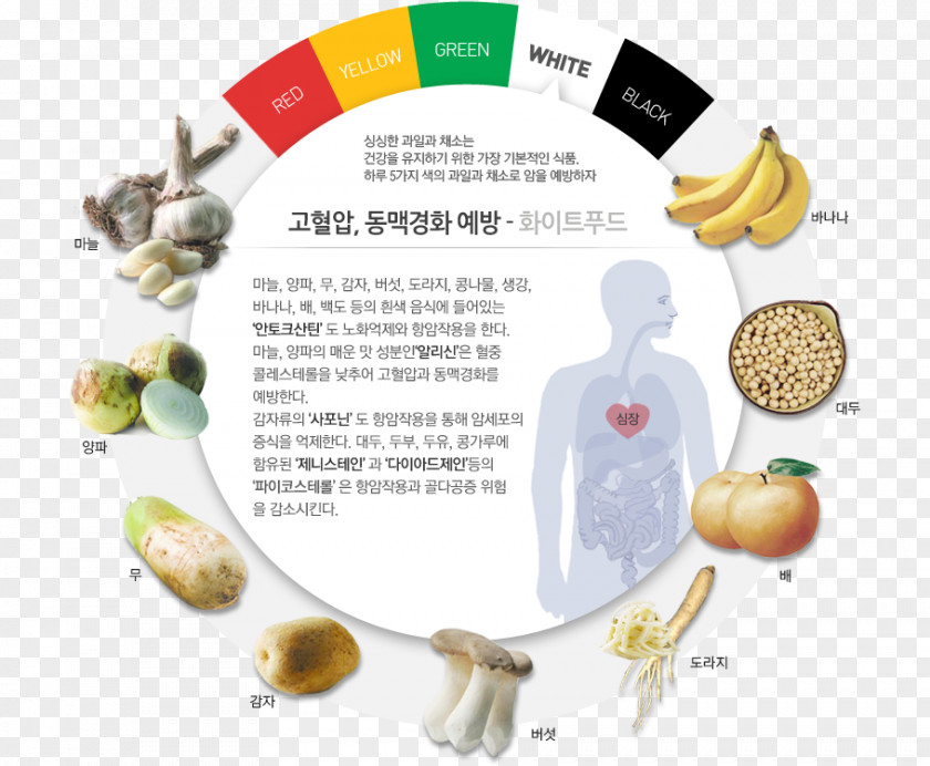 Colorful Infographic Food Product Design Efficacy Produce PNG
