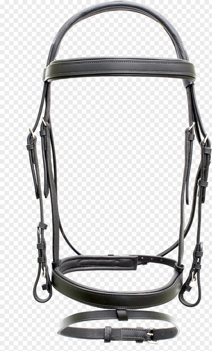 Horse Bridle Dressage PNG