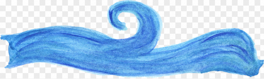 Ocean Waves Marine Mammal Wind Wave PNG