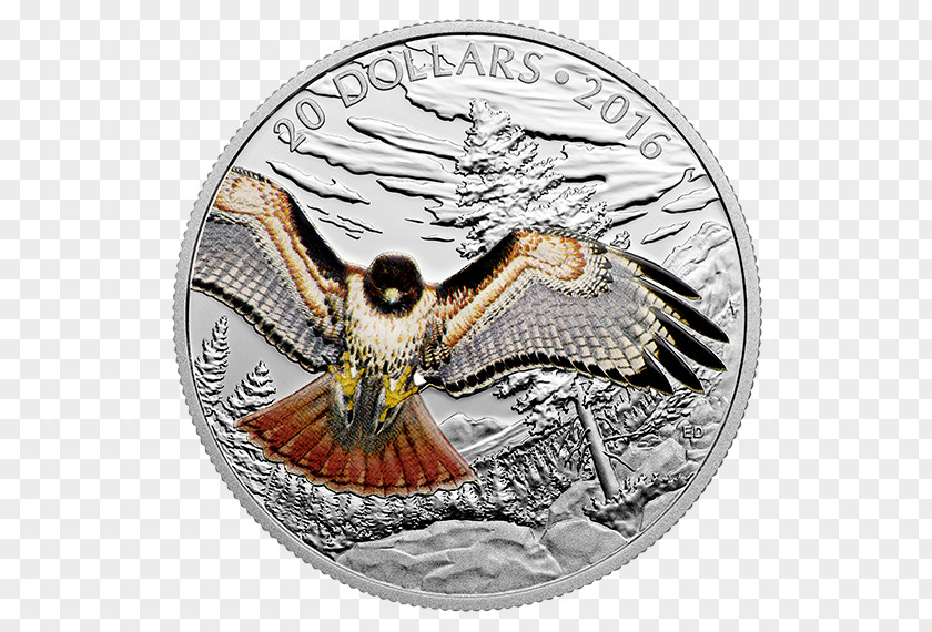 Redtailed Hawk Coin Silver Canadian Gold Maple Leaf Royal Mint PNG