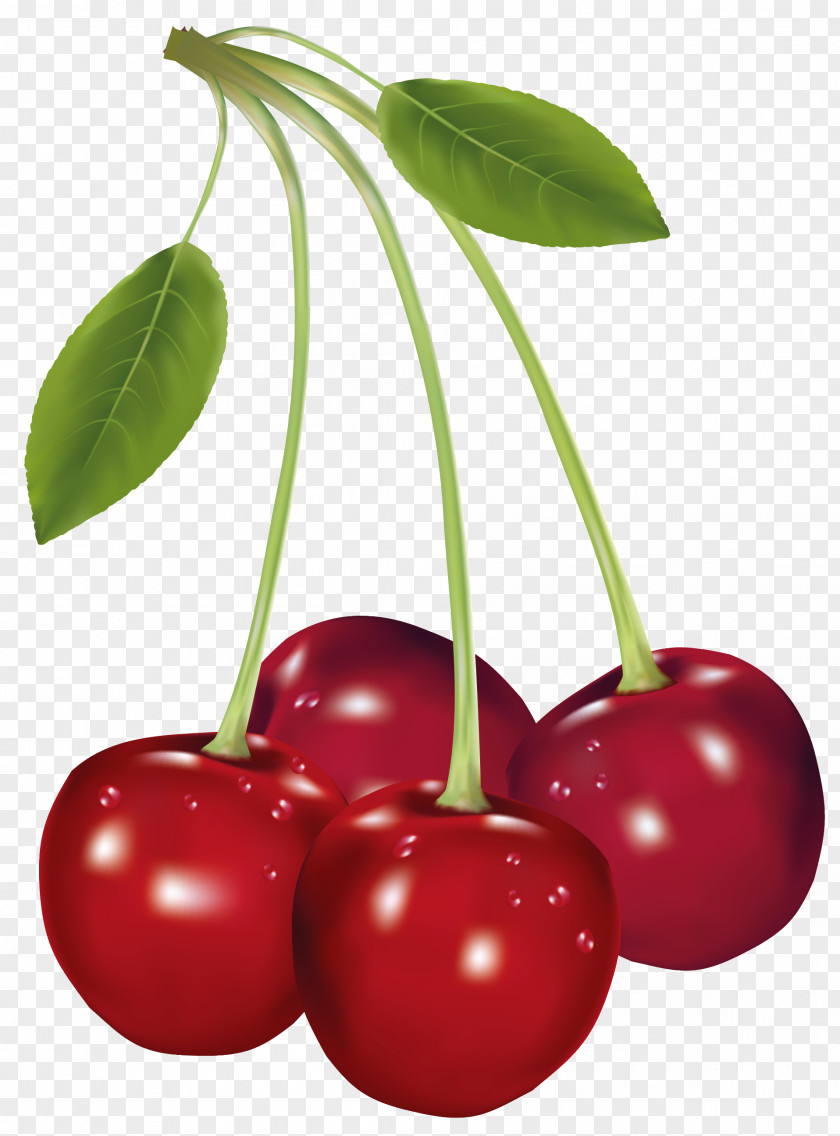 Cherries Clipart Picture Cherry Fruit Clip Art PNG
