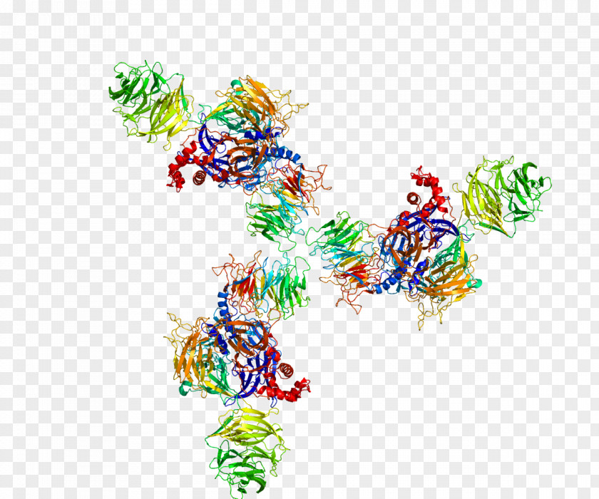 DDB2 DNA-binding Protein Complex PNG