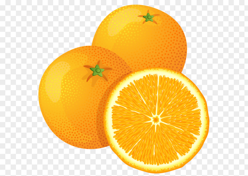 Juice Fruit Orange Clip Art PNG
