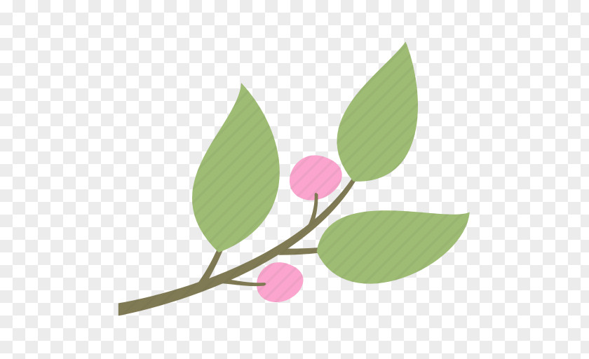 Leaf Iconfinder Petal PNG