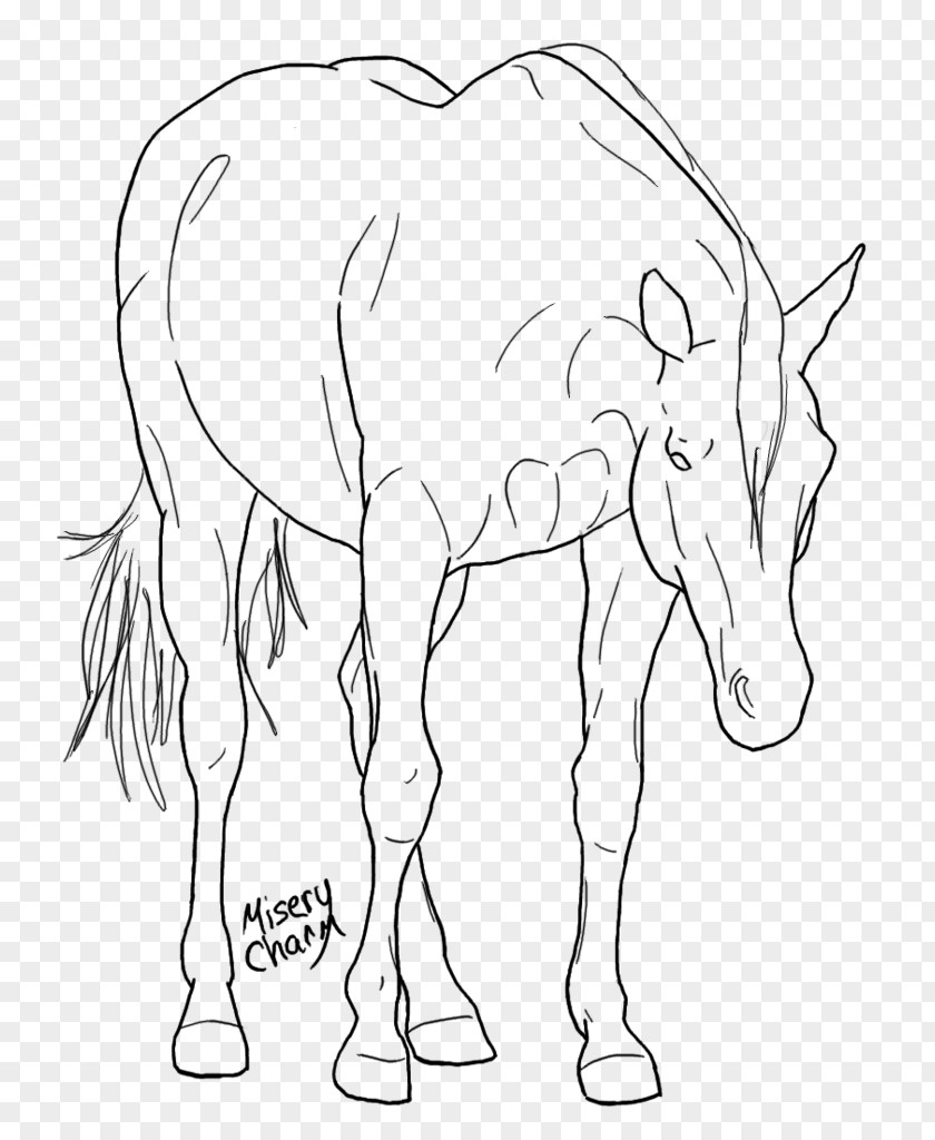 Mustang Mule /m/02csf Donkey Line Art PNG