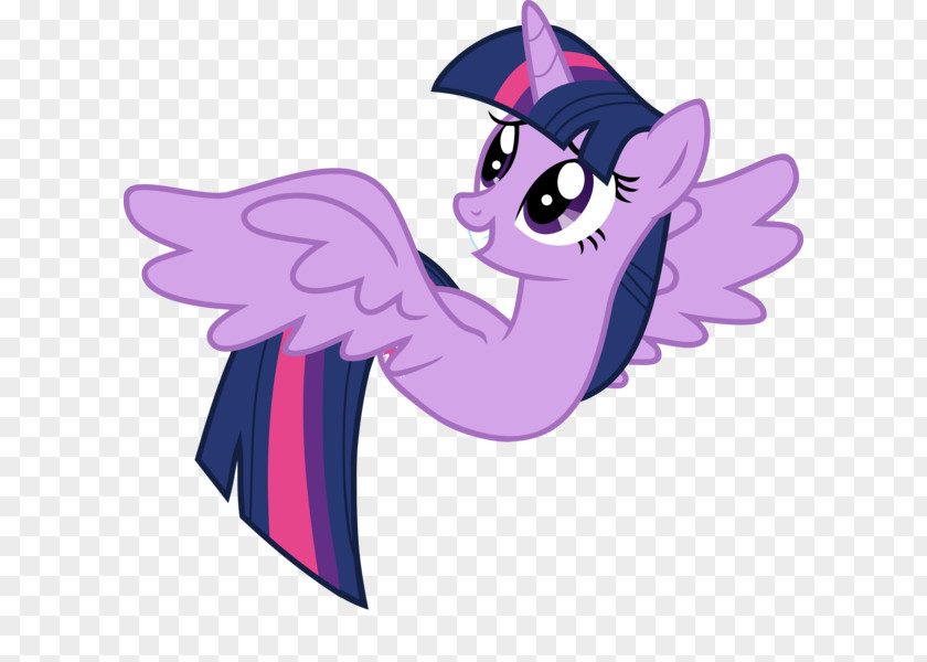 My Little Pony Twilight Sparkle Winged Unicorn Pinkie Pie PNG