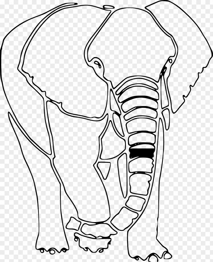 Nose Indian Elephant African Bush Elephantidae Finger Clip Art PNG