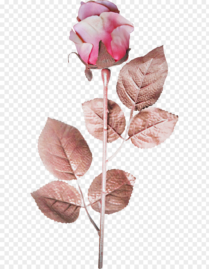 Rose Still Life: Pink Roses Artificial Flower PNG