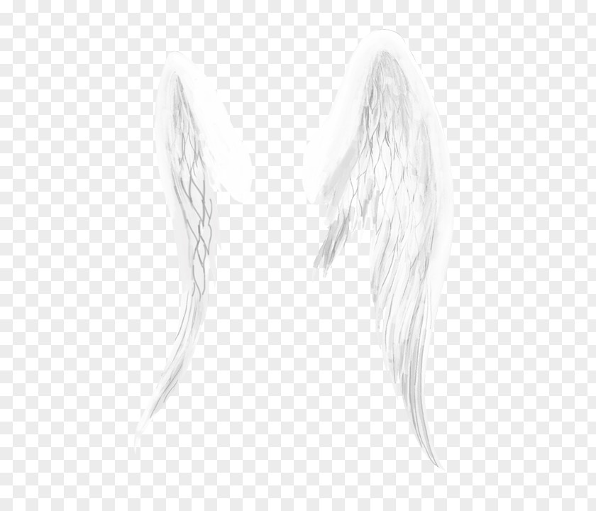 Wings Material Drawing Monochrome /m/02csf Face Sketch PNG
