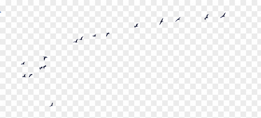Bird Migration Point Angle Font PNG