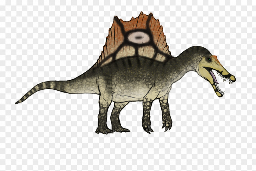 Dinosaur Spinosaurus ARK: Survival Evolved Velociraptor Tyrannosaurus Stegosaurus PNG