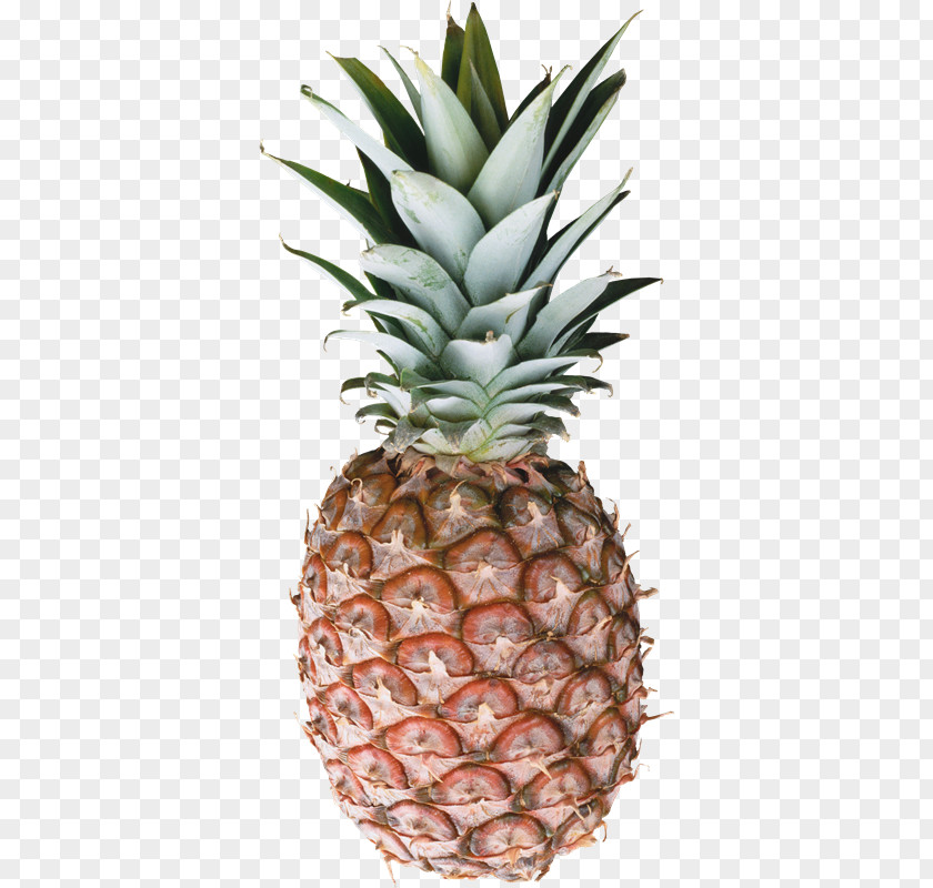 Fruta Pineapple Juice Piña Colada Smoothie PNG