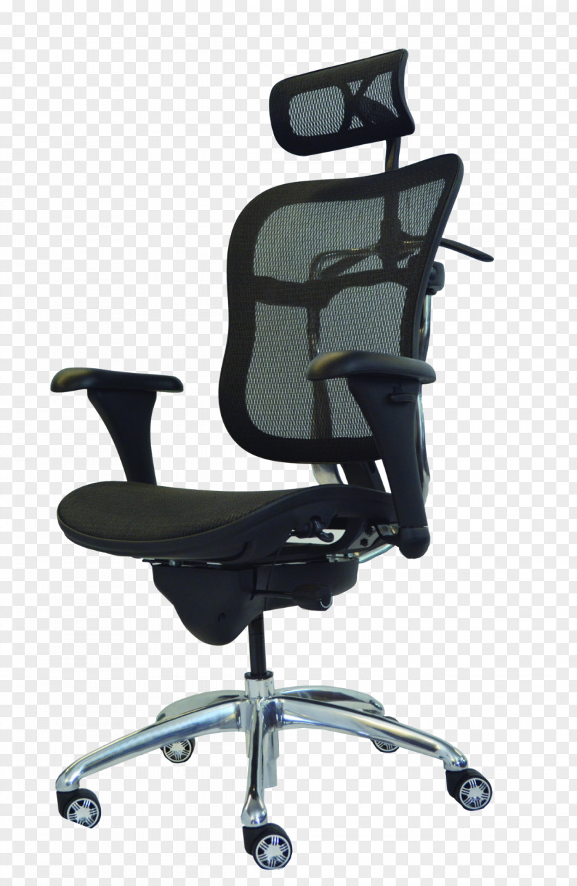 Chair Office & Desk Chairs Furniture Aeron PNG