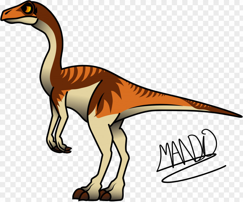 Dinosaur Struthiomimus Gallimimus Velociraptor Ornithomimus PNG