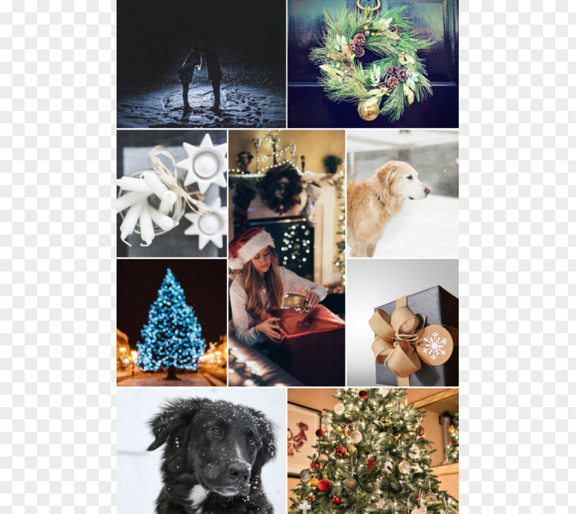 Discount Posters Dog Breed Christmas Ornament Tree PNG