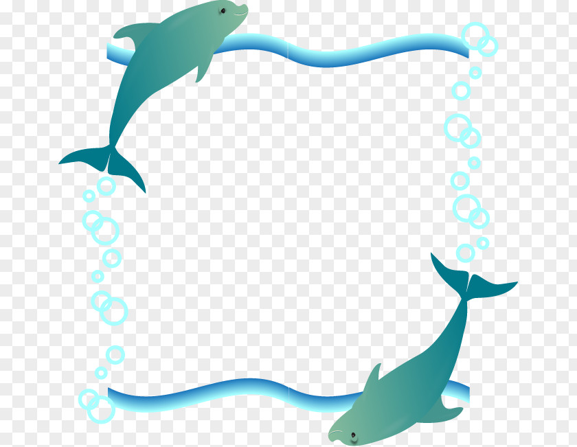 Dolphin Tucuxi Clip Art PNG