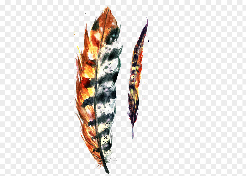 Painted Feathers Feather Paper Drawing Illustration PNG