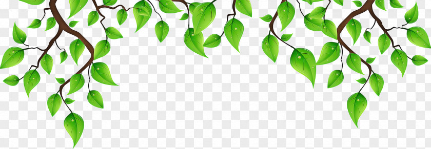 Plant Stem Flower Green Leaf Background PNG