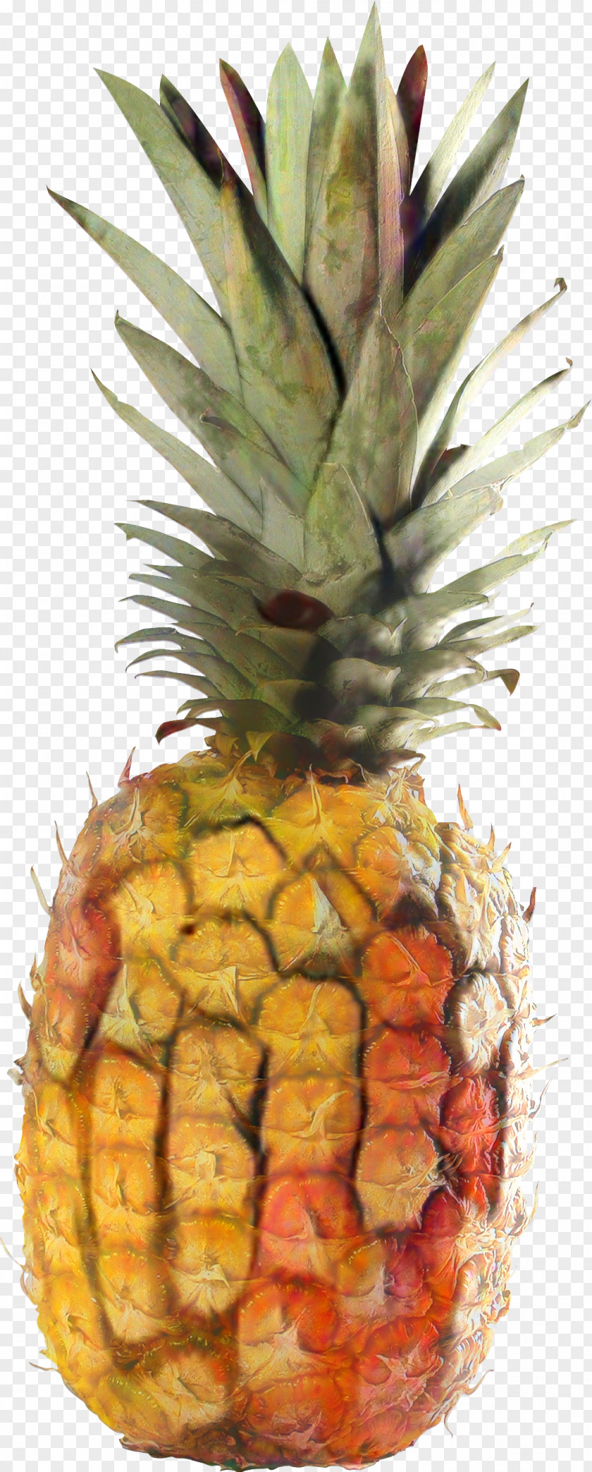 Poales Vegan Nutrition Pineapple PNG