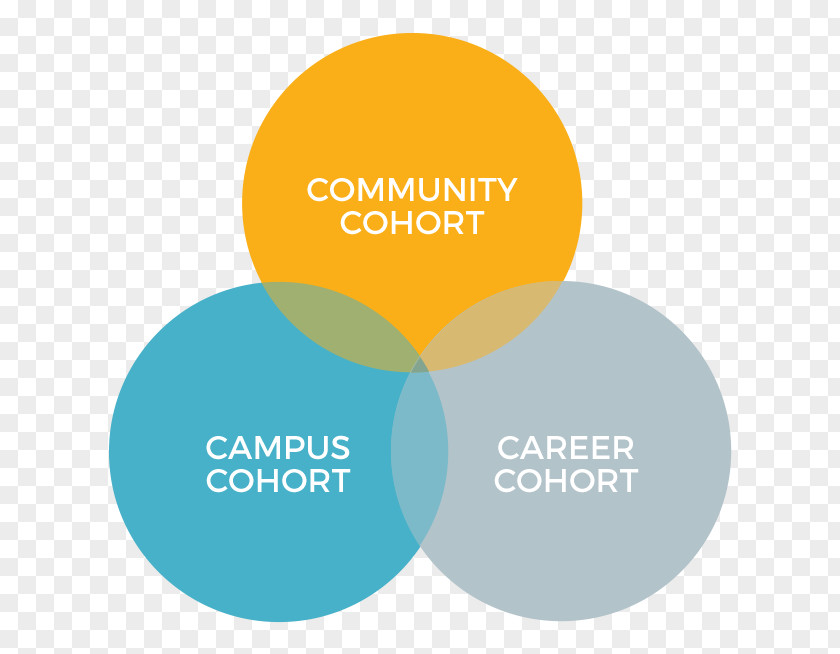 Career Rise Organization Hydrotherapy Yakima Degrees Of Change PNG