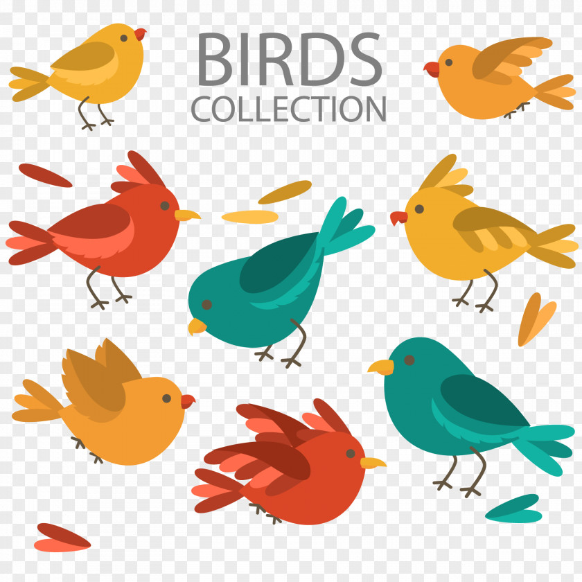Color Cartoon Bird Design Vector Material Lovebird Feather Illustration PNG