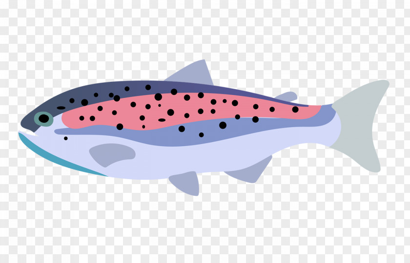 Color Pet Fish Rainbow Trout Drawing PNG