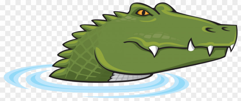 Crocodile Clip Art Alligators Illustration PNG