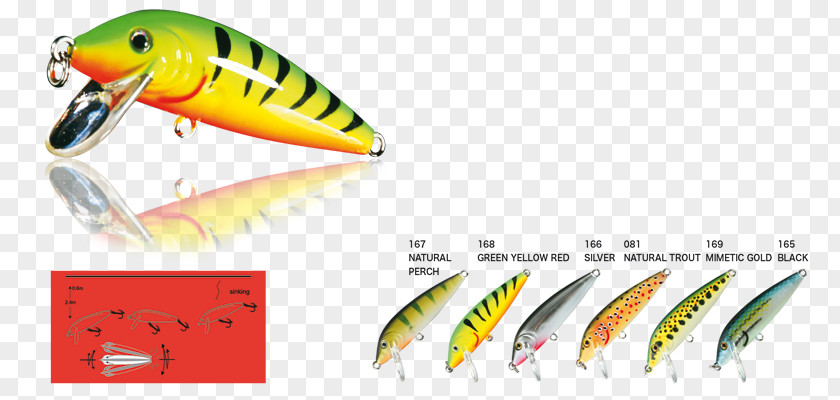 Fish Shop Fishing Baits & Lures Passione Pesca Surface Lure Recreational Spoon PNG