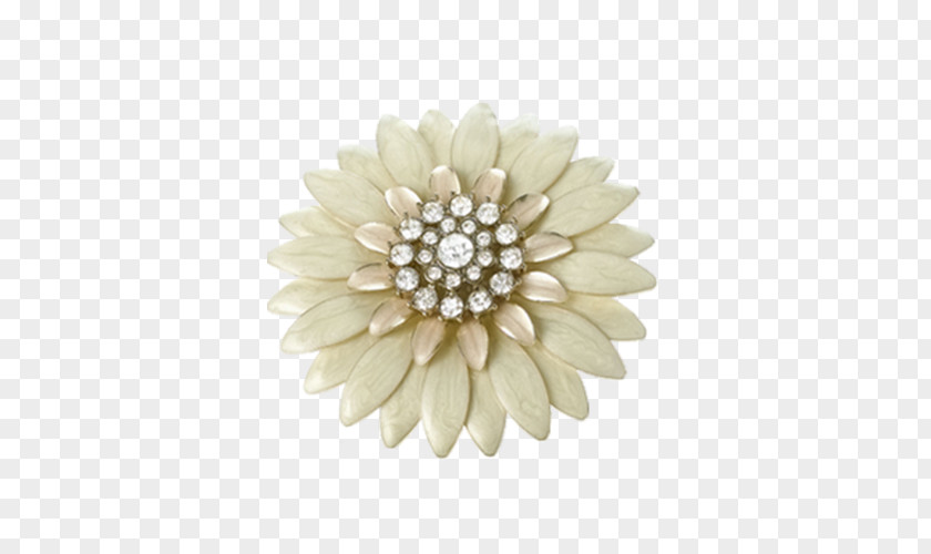 Flowers And Jewelry Classes Jewellery Flower Brooch Icon PNG