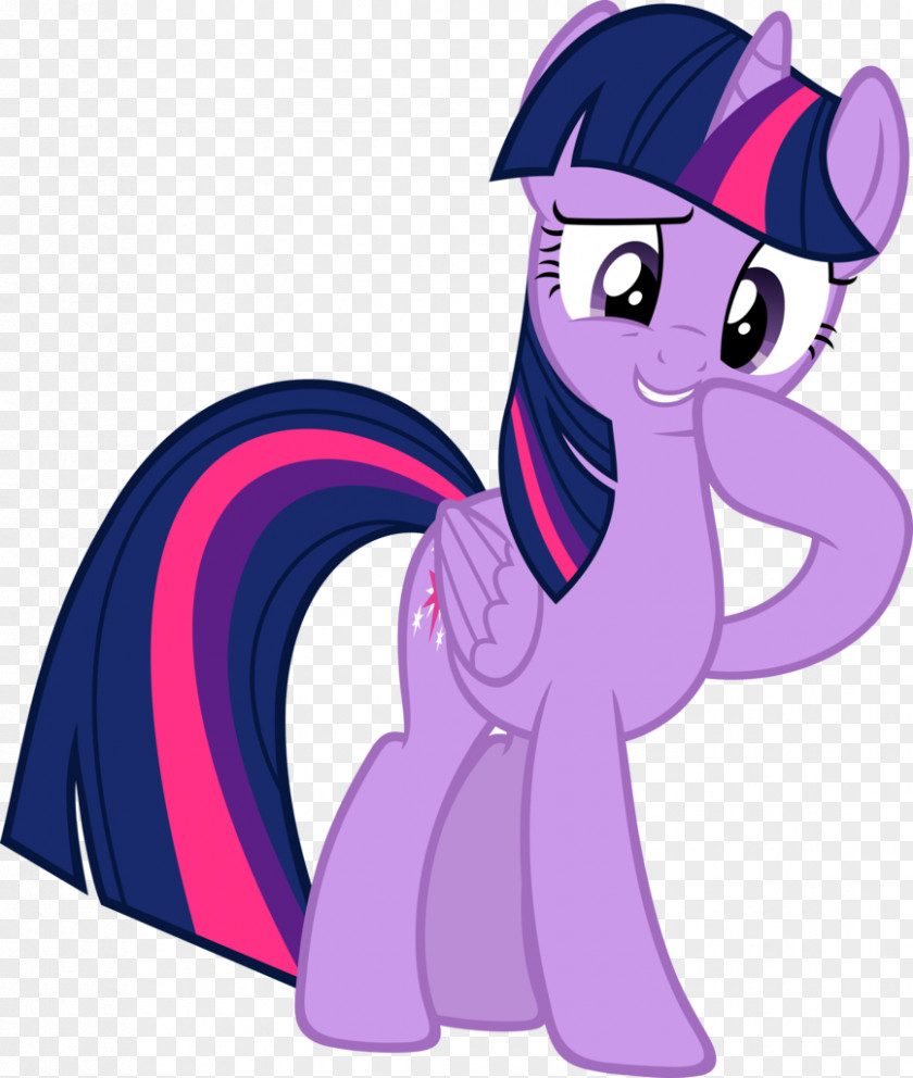 Frankly Pony Twilight Sparkle Rainbow Dash Pinkie Pie Rarity PNG