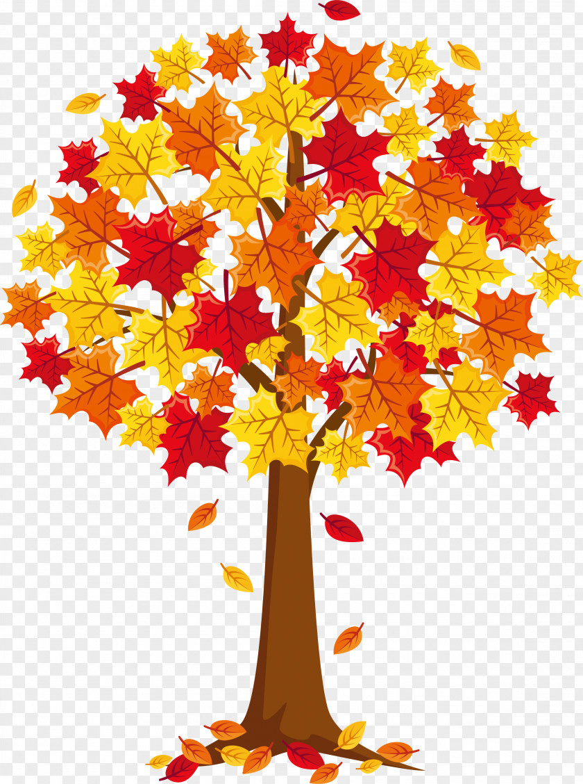 Maple Leaves Falling Leaf Tree PNG